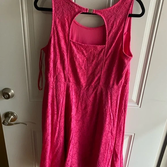 Lane Bryant Womens Fit Flare Dress Plus Pink Floral Lace Sz 16W Sleeveless F144 - Picture 3 of 5